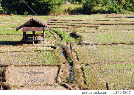 Rural field at pai district, Mae Hong Son Province,Thailand. Rural field at pai district, Mae Hong Son Province,Thailand. 13724807
