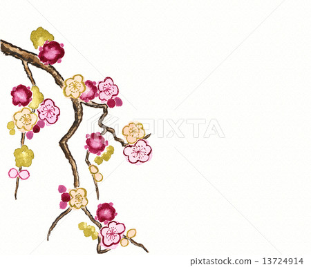 紅色，粉色和金色手繪水彩梅花 13724914