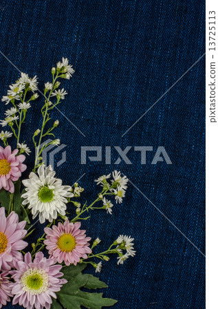 Flowers 13725113