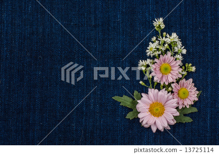 Flowers 13725114