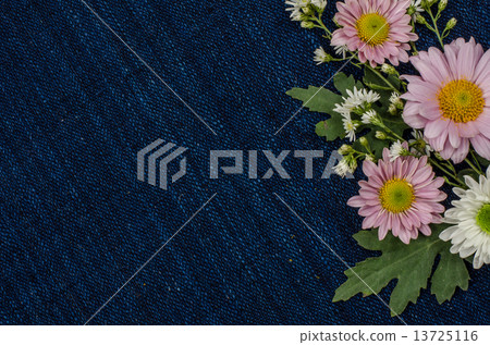 Flowers 13725116