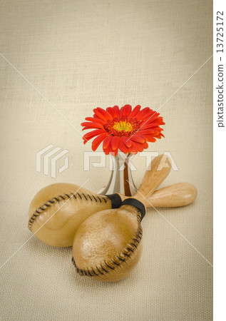Percussions 13725172