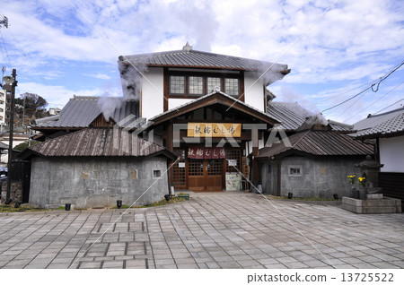 Ironwheel Mushi 13725522