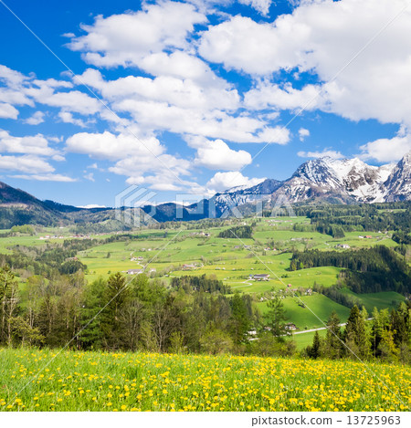 alpine landscape 13725963