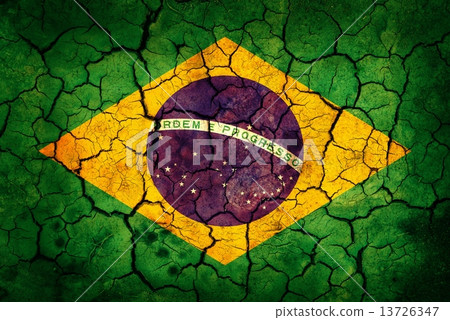 Brazil flag 13726347