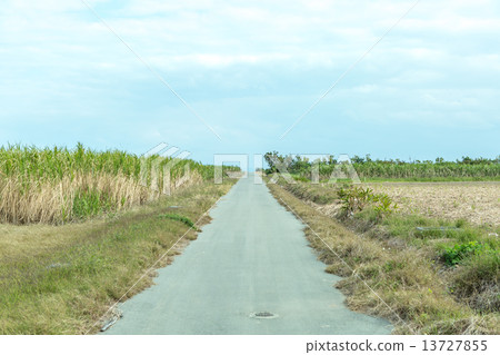 Haterumajima的風景 13727855