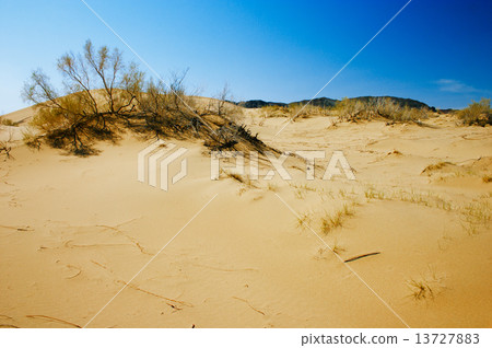 Sand dunes in desert national park Altyn-Emel, Kazakhstan. Sand dunes in desert national park Altyn-Emel, Kazakhstan. 13727883