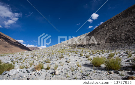 Himalayan landscape 13727935