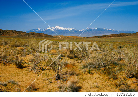 Sand dunes in desert national park Altyn-Emel, Kazakhstan. 13728199