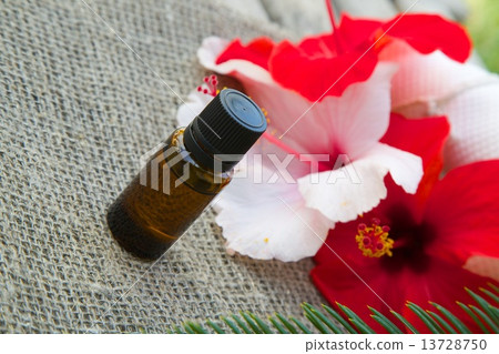 Hibiscus essential oil Hibiscus essential oil 13728750