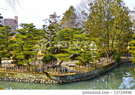 Yuzuki(西)的Uchibori(愛媛縣松山市道後公園/總督町) Yuzuki(西)的Uchibori(愛媛縣松山市道後公園/總督町) 13728996