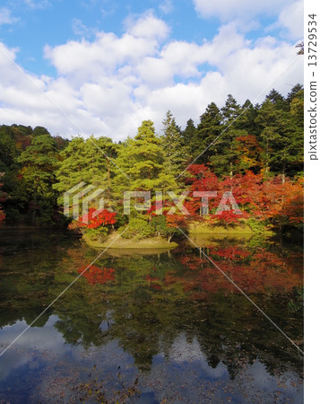 yokuryu-chi pond, maple, yellow leafe 13729534