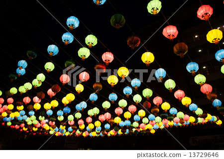 Chinese lanterns 13729646