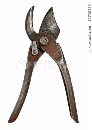 vintage pruning shears vintage pruning shears 13730350