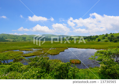 Kirigamine Highland Hachiagahara Marsh 13730565