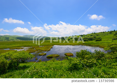 Kirigamine Highland Hachiagahara Marsh 13730566