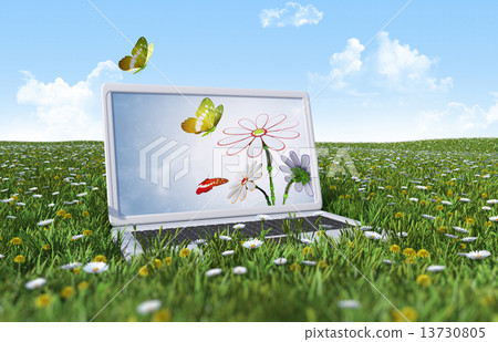 Laptop on the green grass field Laptop on the green grass field 13730805