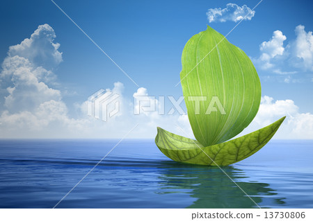 Sailboat made of green leaves Sailboat made of green leaves 13730806