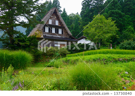 富山Gokayama Summer的Aikura巨大的協會定居點 13730840