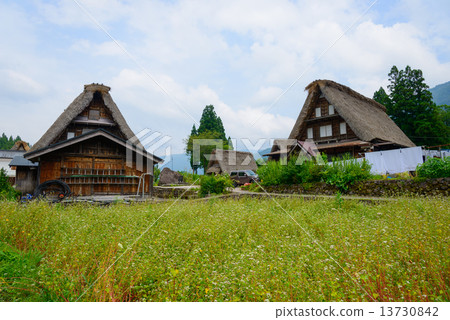 富山Gokayama Summer的Aikura巨大的協會定居點 富山Gokayama Summer的Aikura巨大的協會定居點 13730842