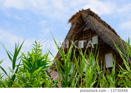 富山Gokayama Summer的Aikura巨大的協會定居點 13730846