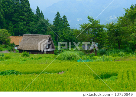 富山Gokayama Summer的Aikura巨大的協會定居點 13730849
