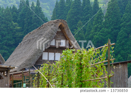 富山Gokayama Summer的Aikura巨大的協會定居點 13730850