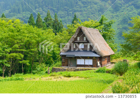 富山Gokayama Summer的Aikura巨大的協會定居點 富山Gokayama Summer的Aikura巨大的協會定居點 13730855