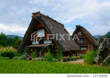Gifu Shirakawago Summer Ogimachi定居點 13730890