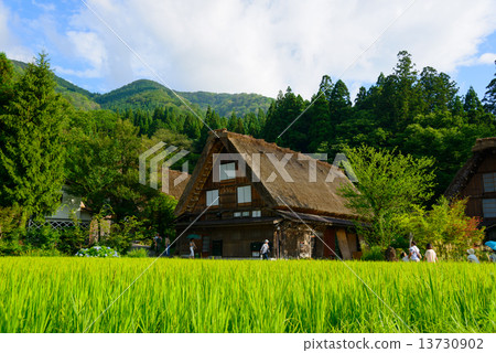Gifu Shirakawago Summer Ogimachi Settlement settlements 13730902