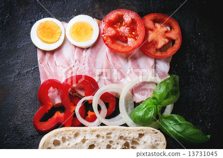 Ingredients for sandwich 13731045