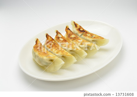 餃子 13731608