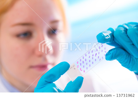lab 13731962