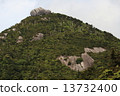 巨峰在屋頂（屋久島三條） 13732400