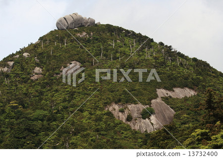 Megalith at the summit (Yakushima Mikake) Megalith at the summit (Yakushima Mikake) 13732400