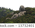 巨峰在屋頂（屋久島三條） 13732401