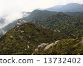 巨峰在屋頂（屋久島三條） 13732402