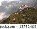 巨峰在屋頂（屋久島三條） 13732403