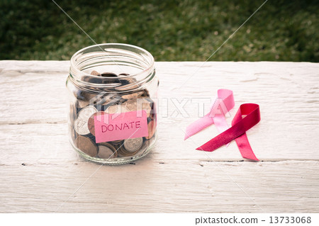 Donate money to breast cancer charity 13733068