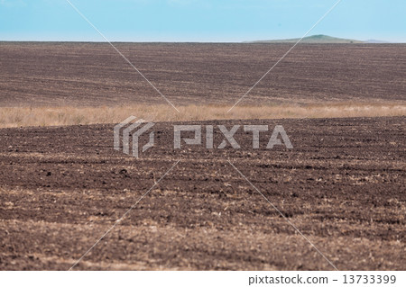 plowed field plowed field 13733399