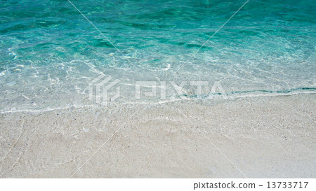 The beach The beach 13733717