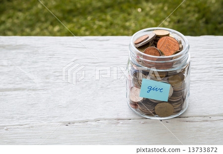 Give money to charity 13733872