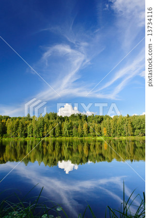 Northern river and woods 13734116