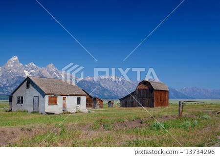 On the iconic John Moulton farm 13734296