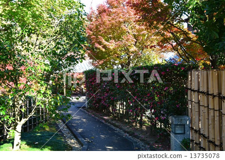Jitsuyamaen in autumn Jitsuyamaen in autumn 13735078