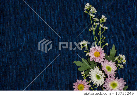 Flowers Flowers 13735249