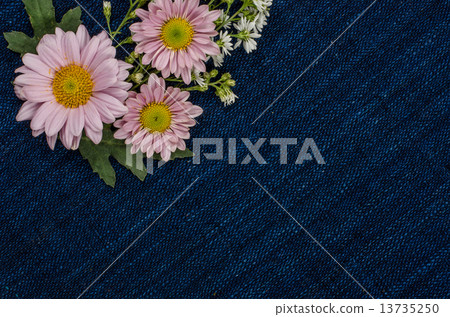 Flowers Flowers 13735250