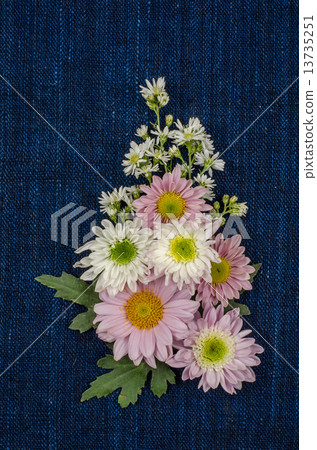 Flowers Flowers 13735251