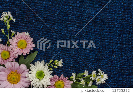 Flowers Flowers 13735252