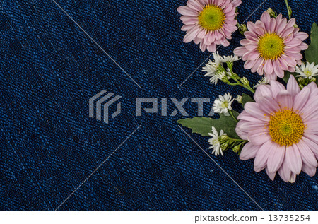 Flowers Flowers 13735254
